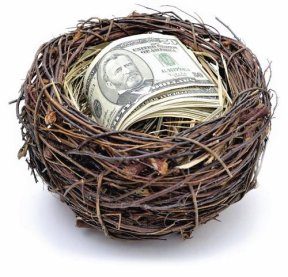 nestegg.png